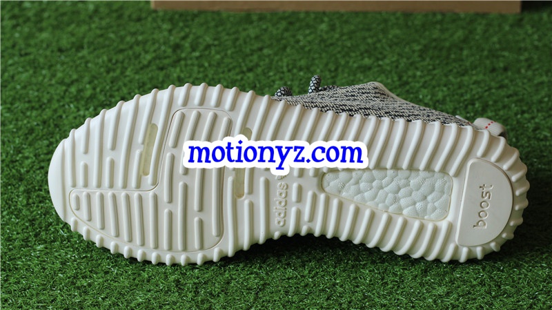 God Version Yeezy Boost 350 Turtle Dove